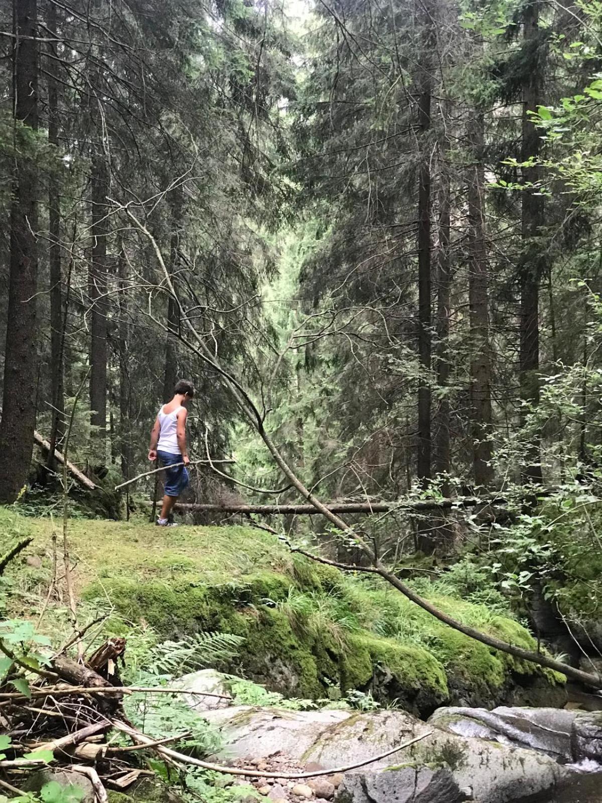 Chalet Tschattlhof Dolomites カヴァレーゼ エクステリア 写真
