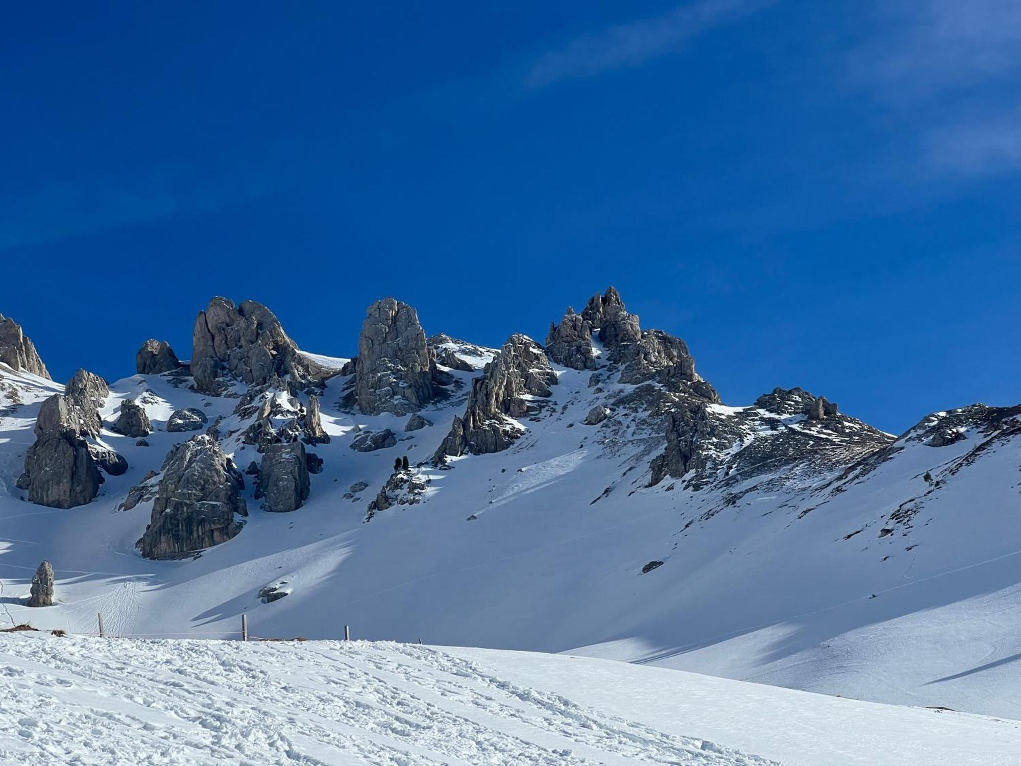 Chalet Tschattlhof Dolomites カヴァレーゼ エクステリア 写真