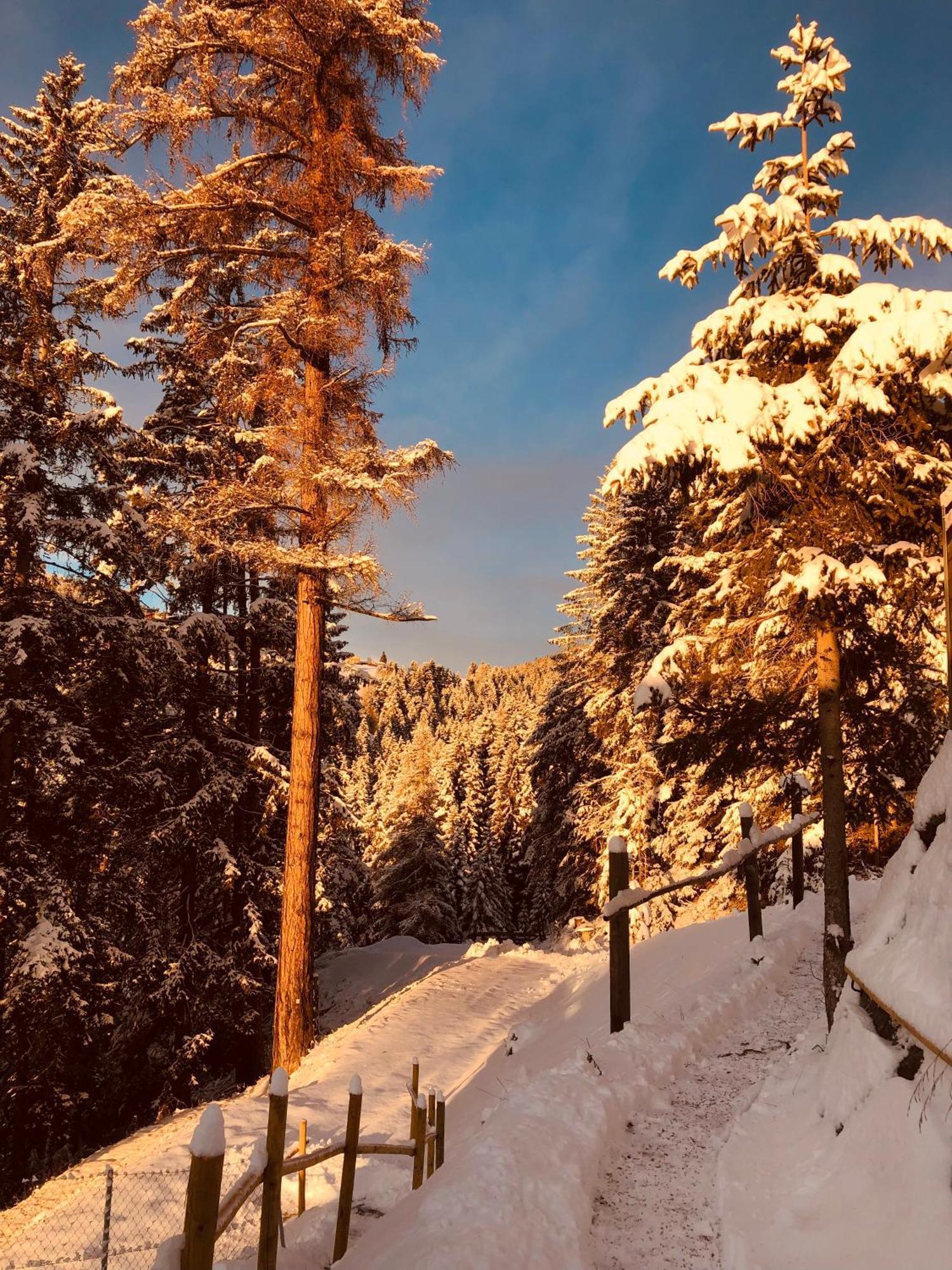 Chalet Tschattlhof Dolomites カヴァレーゼ エクステリア 写真