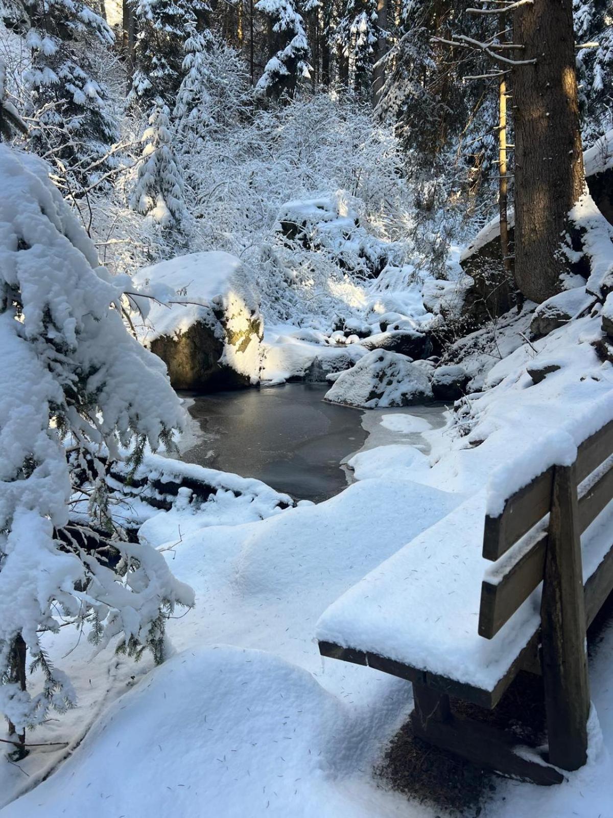 Chalet Tschattlhof Dolomites カヴァレーゼ エクステリア 写真