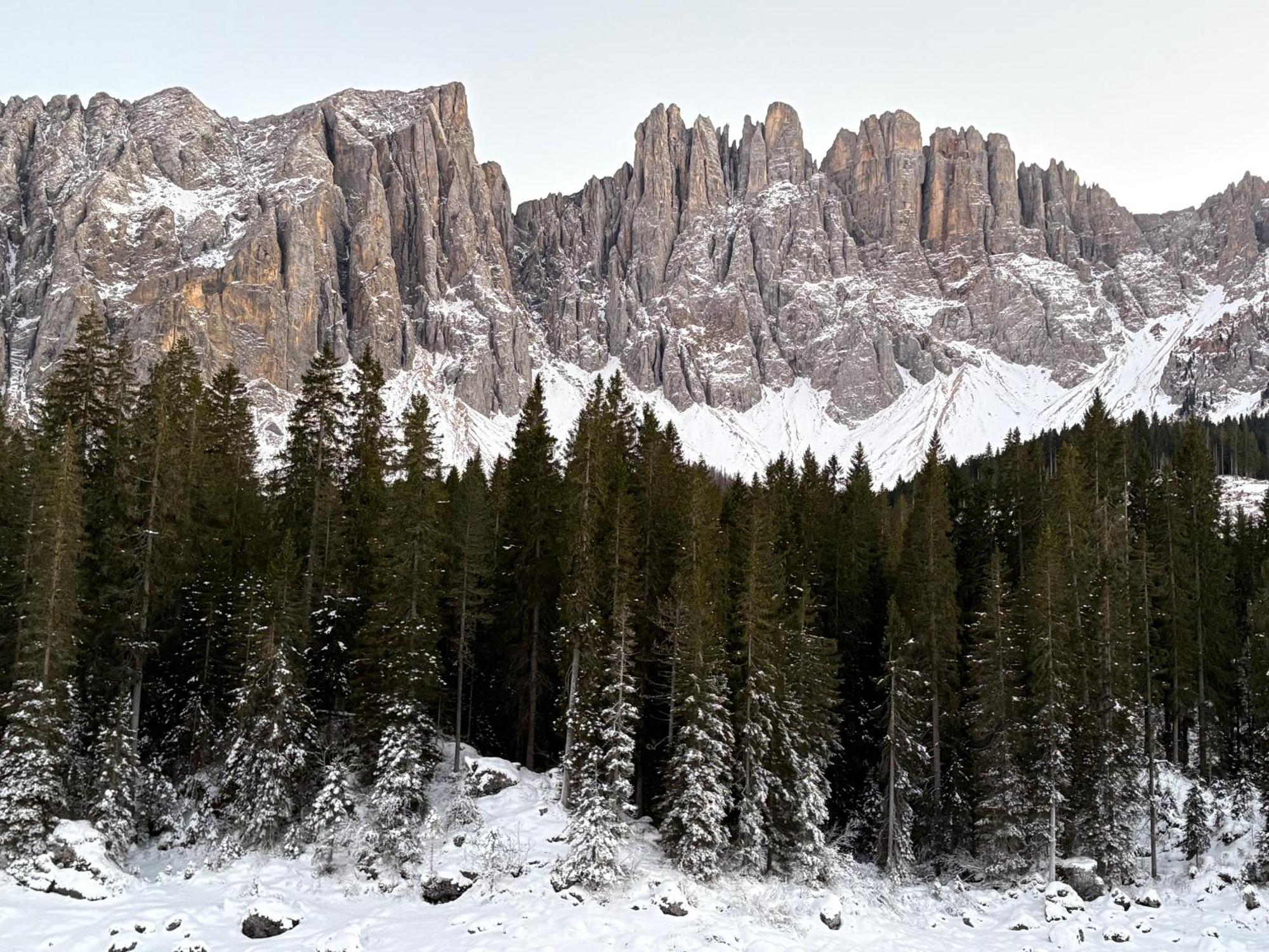 Chalet Tschattlhof Dolomites カヴァレーゼ エクステリア 写真